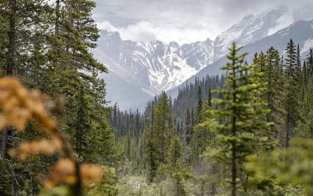 Der spirituelle Marktplatz – Viele Wege, wenig Tiefe?